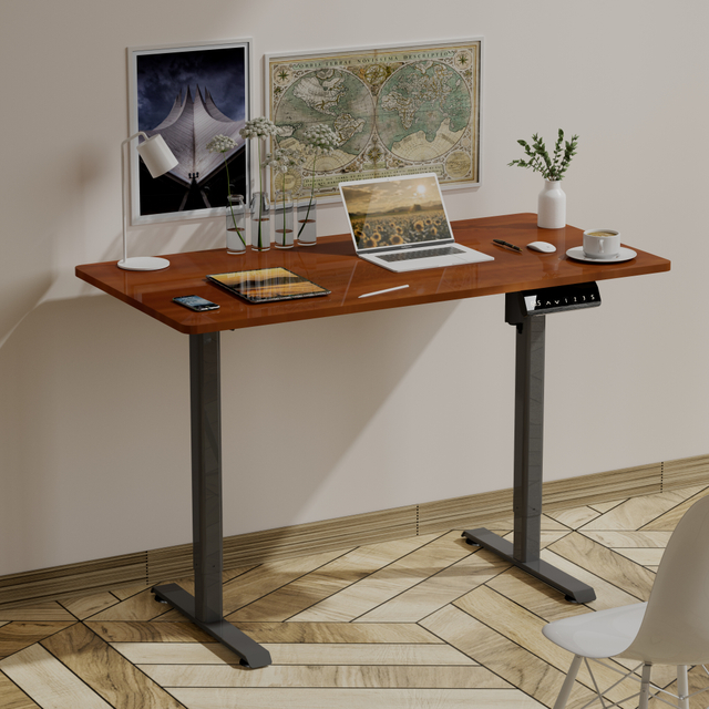Compact Steel Executive Electric Standing Desk for Office Furniture