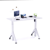 Gaming Desk Racing Office Ergonomic Computer Table Electrical Standing Desk with Cup Holder & Cable Management
