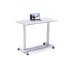 Office Ergonomic Table Up Lift Gas Spring Desk for Modern Furniture