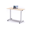 Office Ergonomic Table Up Lift Gas Spring Desk for Modern Furniture