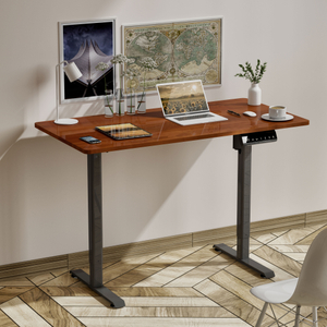 Compact Steel Frame Electric Standing Desk for Home