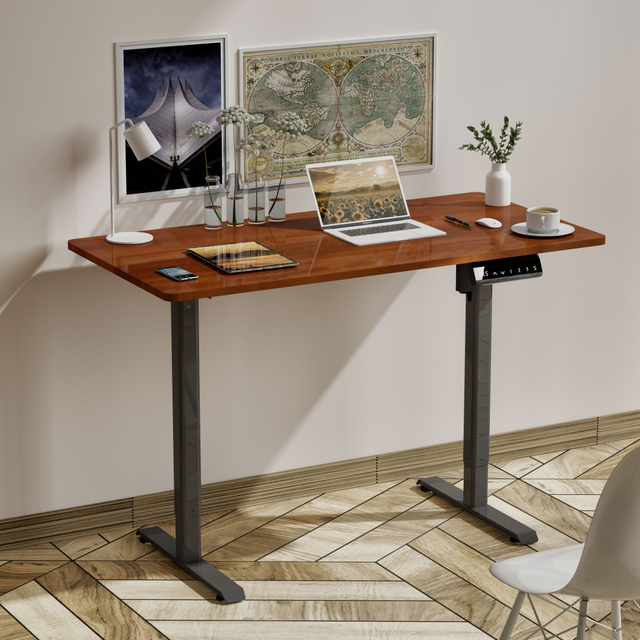 Fashionable Electric Standing Desk for Home