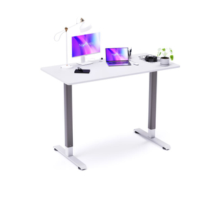 Computer Table Executive Electric Standing Desk for Ergonomic Office