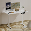Compact Steel Executive Electric Standing Desk for Office Furniture