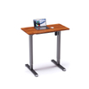 Small Space Mini Height Ajustable Electric Standing Desk for Home Furniture Apartment