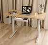 Standing Desk with Storage Pocket, Electric Standing Desk Workstation with Drawer for Home & Office