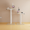 Electric Standing Desk for Multiple Choices