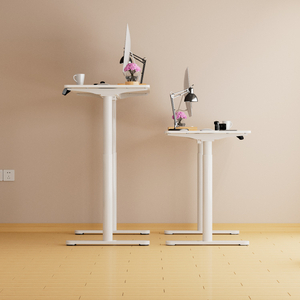 Electric Standing Desk for Multiple Choices